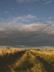 The Sovereign of the