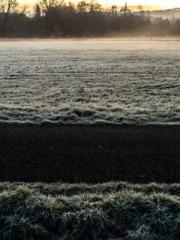 My projections are a