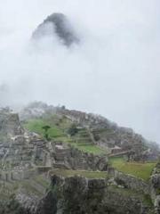 A Lifetime of Captiv