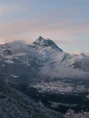 lt;Marry at first si