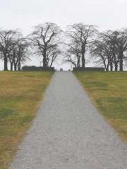 Bodhisattva of Compa