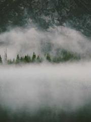 A Wifeapos;s Plea fo