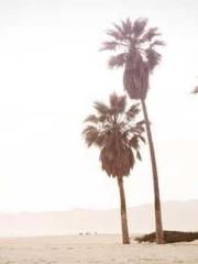 The Ugly Womanapos;s