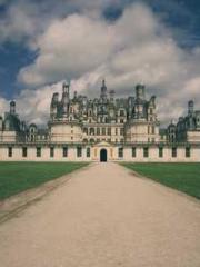 Wine, sex, money and