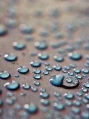 Mr. Gu, your wife is