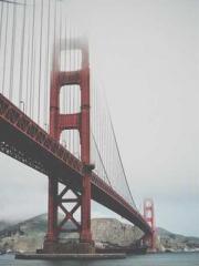 The Imperial Concubi