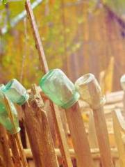 Chen Pingapos;an and