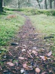 Chen Pingapos;an and