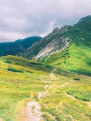 lt;Gingerly, Shen Qi