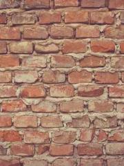 Ling Hao Qin Yuxin R