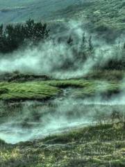 Cultivating My Empre