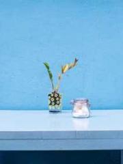 The  Princess  Rebor