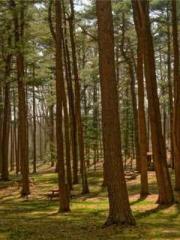 One Pregnancy, Two B