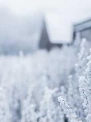 Eternal Sword Ancest