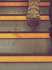 Peninsula Asteroid l