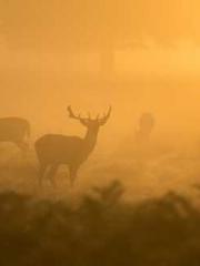 Cultivating My Empre