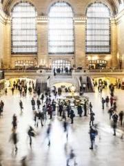 Lu Wanwan Li Jingche