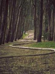 lt;lt;Waste Material