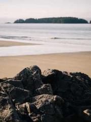 The Sovereign of the