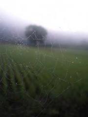 lt;The misfortune of