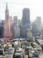 King of the Nine Pro