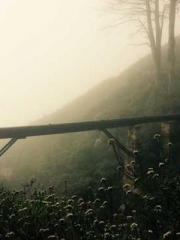 lt;Natural Disasters