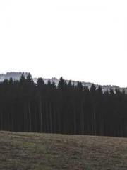 Reborn in 1989: Crea