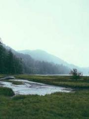 The Best Little Body