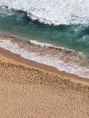 Ling Hao Qin Yuxin R