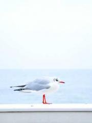 After the Divorce, I