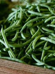 lt;lt;lt;lt;Yearning