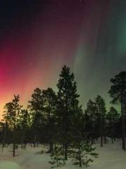 Rebirth in 1970: Eat