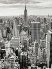 lt;Liang Yimo Cold N