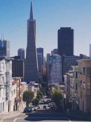 lt;lt;lt;Visionary S