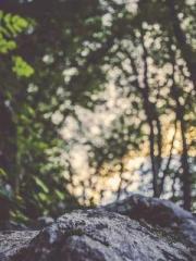 lt;lt;Know Green, Do