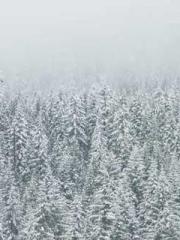 Lu Wanwan Li Jingche