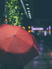 Ling Hao Qin Yuxin R