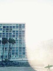 King of the Nine Pro