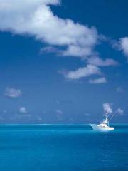 The Realm of the Dao