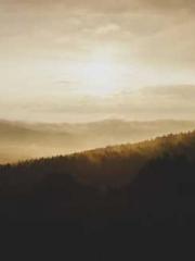 On our wedding night