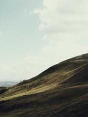 The Realm of the Dao