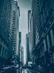 lt;lt;lt;lt;Yearning