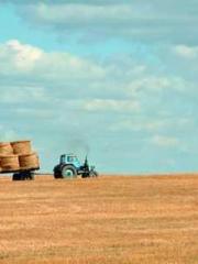 Yellow Spring Expres