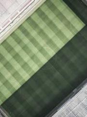 lt;Jingyuan Rong Sha