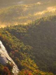 Reborn in 1989: Crea